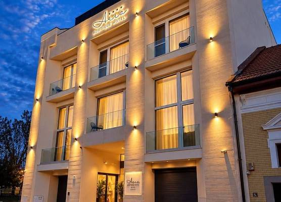 ARIS Boutique Hotel & SPA 1