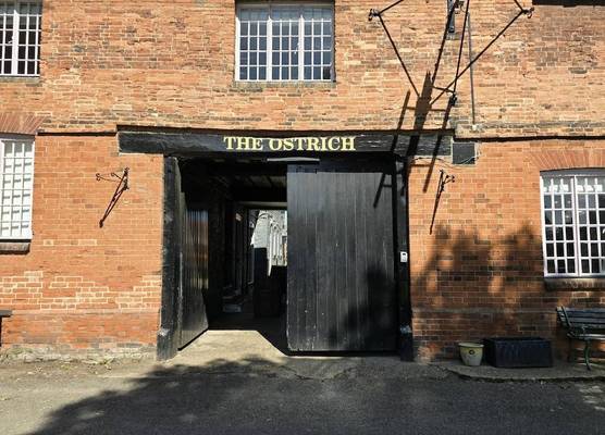 The Ostrich 1