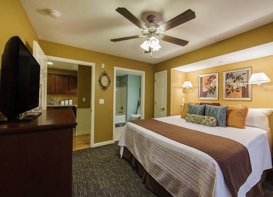 Holiday Hills Resort at Branson 1