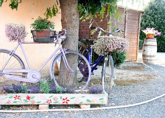 Agriturismo Al Vermigliano 1