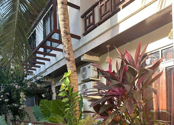 Bougainvillea Inn - Maldives 1