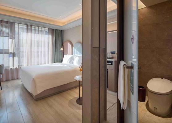 Mercure Xi'an History Museum 1