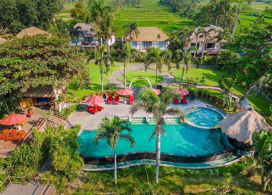 Mara River Safari Lodge Bali 1