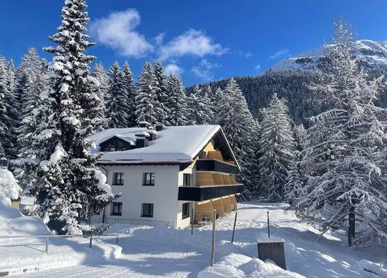 Davos Laret, Ginseng Nr 12 1