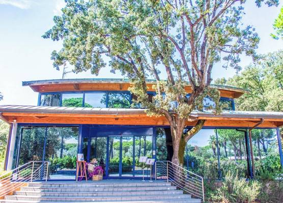 Hotel Wellness Resort Riva degli Etruschi 1