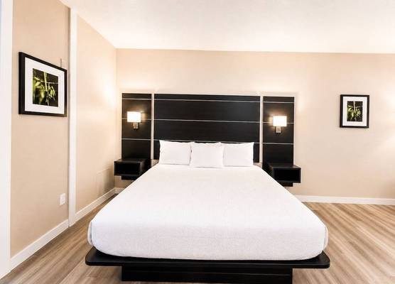 Blaine Town Inn & Suites 1