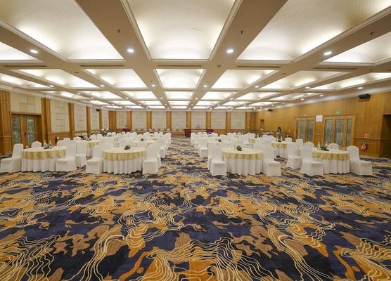 Radisson Blu Kochi 1