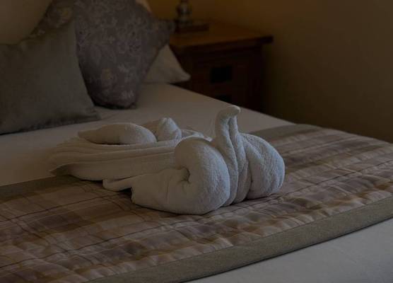 The Waverley Guest House 1