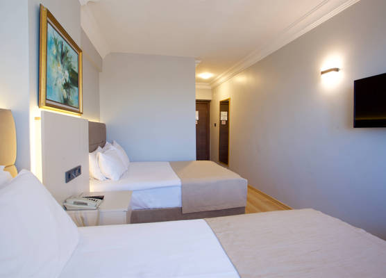 Palette Grand Ant Hotel Istanbul 1