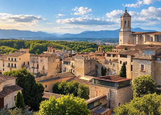 AS Palau dels Alemanys Suites Boutique Monument 1