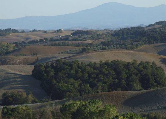 Agriturismo Podere Casato 1