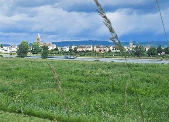 Rheinhotel Larus 1