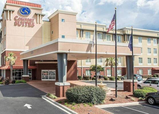 Comfort Suites Rock Hill Manchester Meadows Area 1