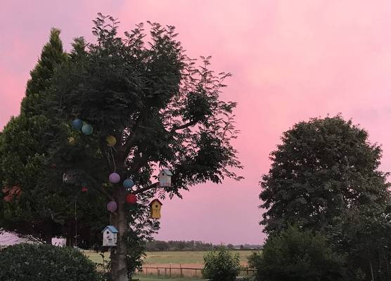 B&B Worpsweder Blick 1