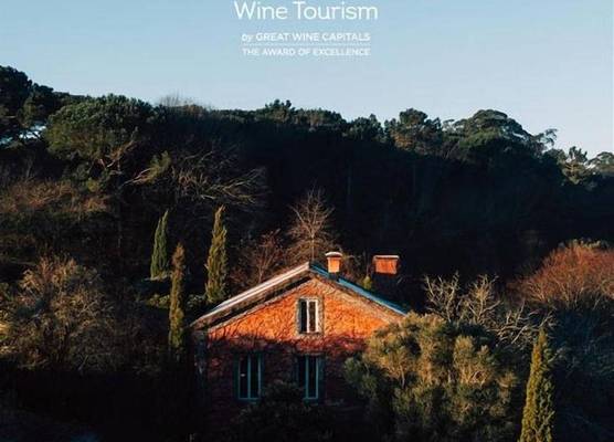 Wine Tourism - Quinta do Ameal 1