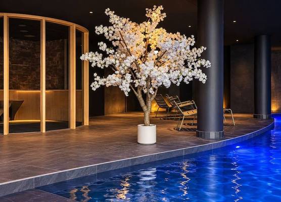 Hôtel & SPA La Réserve 1