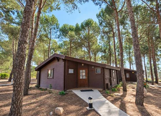 Kibbutz Ortal Tourism 1