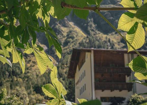 Pension Steinkogel 1