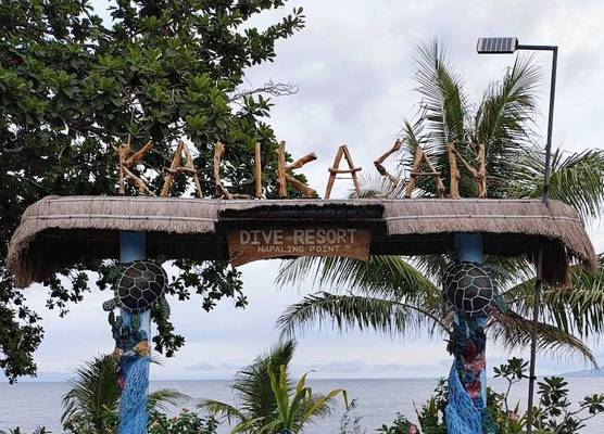Panglao Kalikasan Resort 1