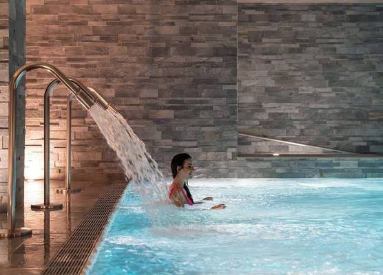 Hôtel Lyon Métropole & Spa 1