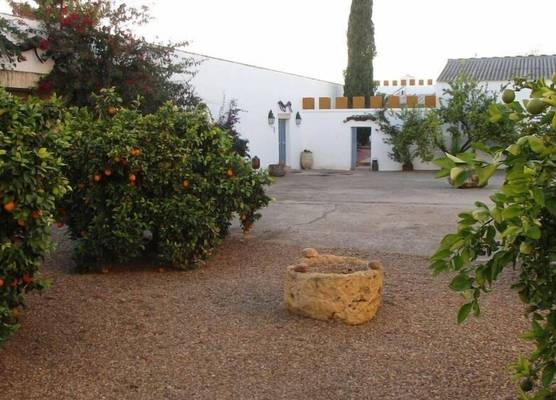 Cortijo Santa Clara 1