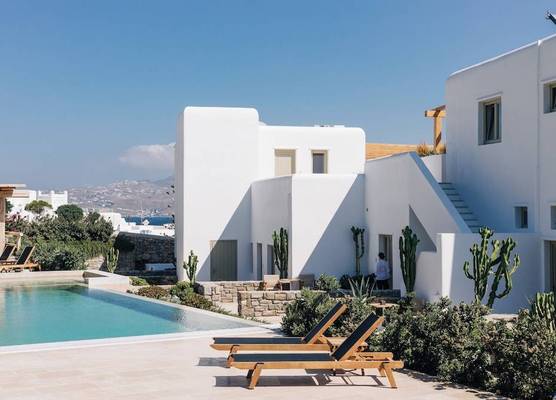 Mykonos Cactus 1