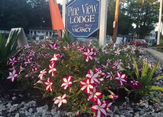 Pine View Lodge 1
