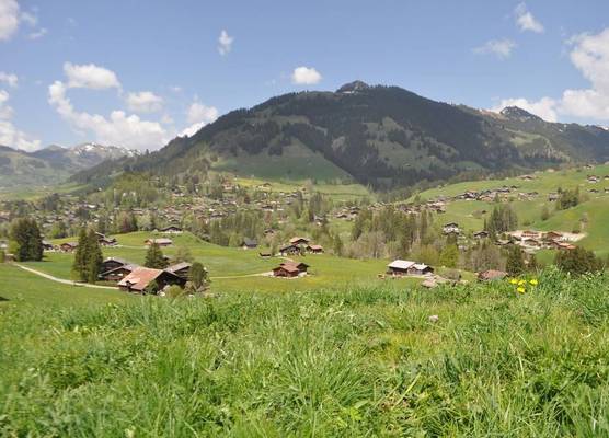 Alpenchalet Weidhaus Gstaad - diverse Wohneinheiten 1