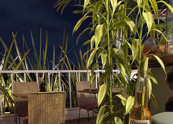 Vivus La Martina Boutique Hotel 1