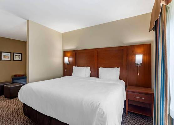 Comfort Inn & Suites Carbondale University Area 1