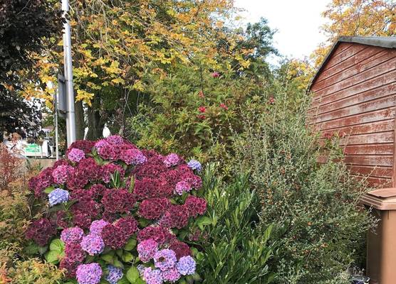 Beeches Guest House 1