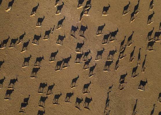 Anantara Sir Bani Yas Island Al Sahel Villas 1