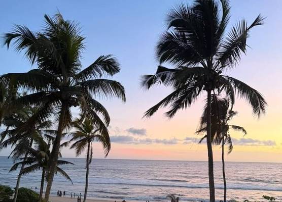 Maadathil Cottages & Beach Resort 1