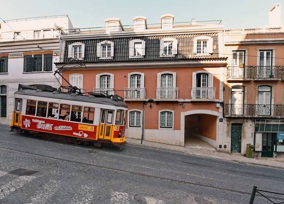 Lapa 82 1