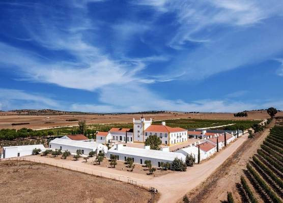 Torre de Palma Wine Hotel, Monforte, a Member of Design Hotels 1