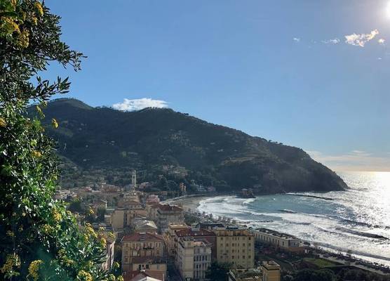 Sunflower terrazza panoramica 1