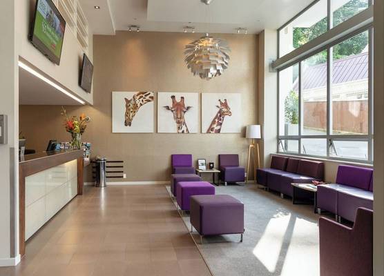 Boulcott Suites 1