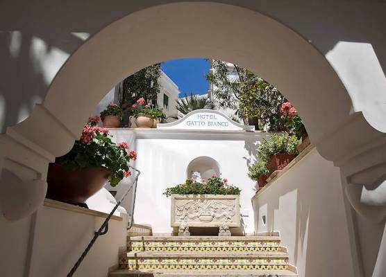 Albergo Gatto Bianco 1