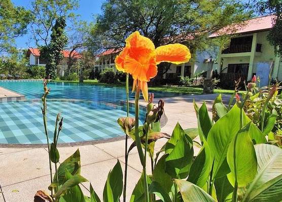 Blue Turtle Hotel 1