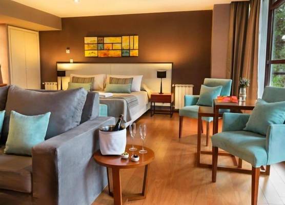 Boutique Hotel & Spa Bosque del Nahuel 1