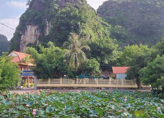 Trang An Elegant Homestay 1