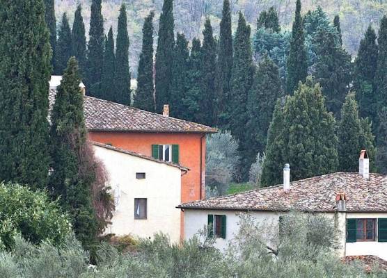 Il Giardino di Daniel Spoerri 1