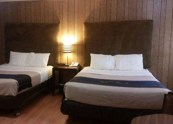 The Gold Lodge 1