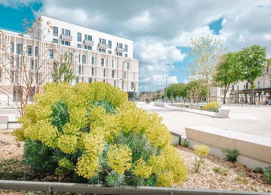 Beelodge Hotel Blois Centre 1
