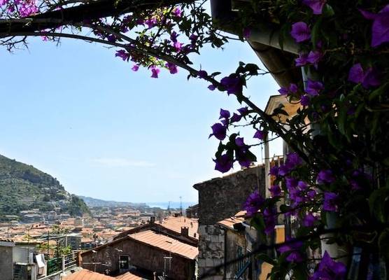 La Terrazza dei Pelargoni B&B 1