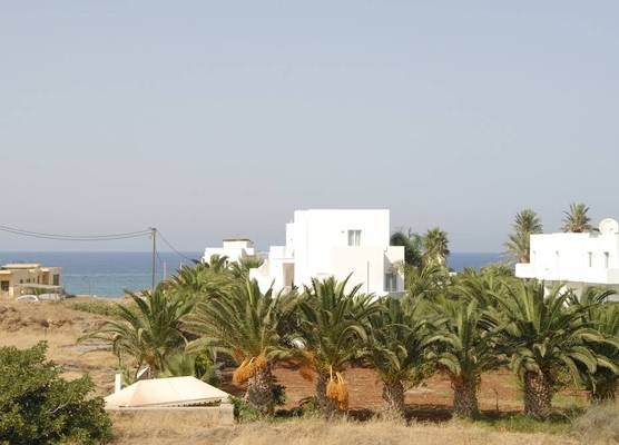 Sunshine Garden 1