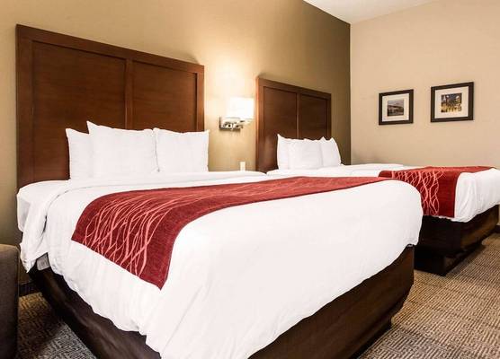 Comfort Inn & Suites Streetsboro - Kent 1