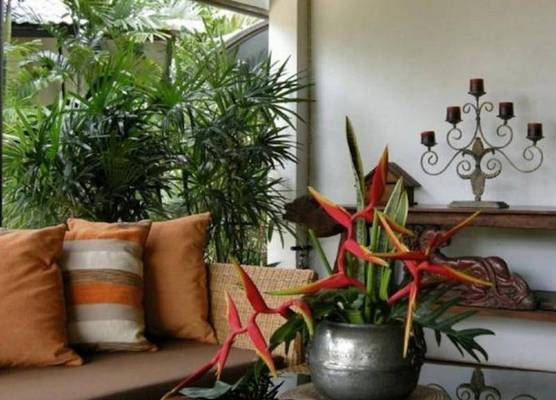 Baan Thai House 1