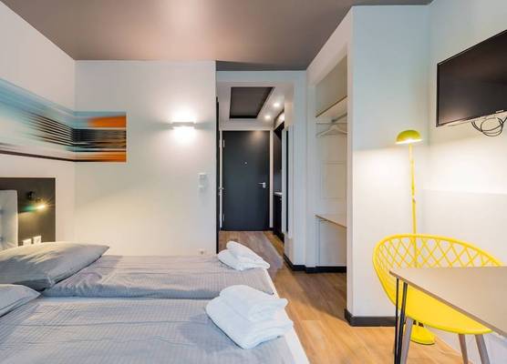 Homaris Kreuzberg 61 1