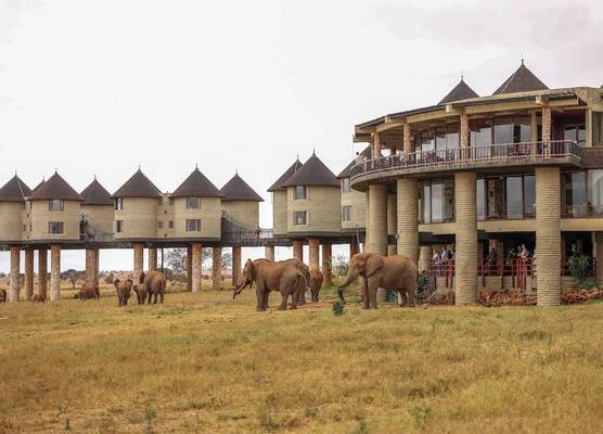 Salt Lick Safari Lodge 1